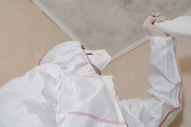 Best Commercial Mold Removal  in Leetonia, OH